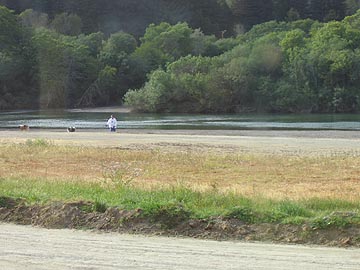 Casini Campground, near Jenner