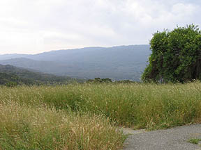 Scenic overlook near Stanford