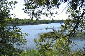 An inlet between Edisto Island  