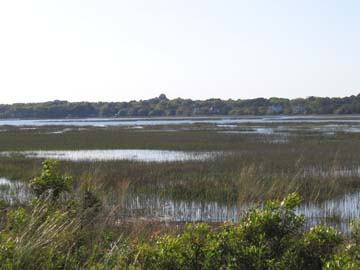 near Hilton Head 