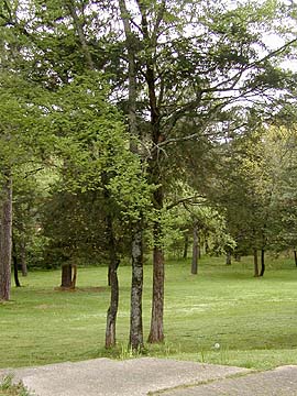 Oklahoma