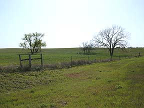 east of Amarillo