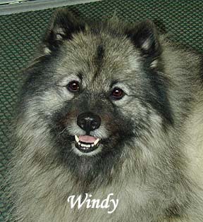 Windy