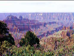 Grand Canyon from the North Rim