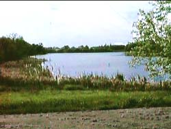 a pond in Minnesota