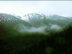 Glacier Park mountains in the rain