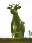 closeup of cow sculpture