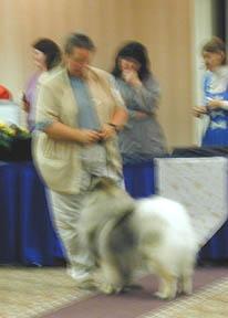 Vanderblom Dryriver Andante