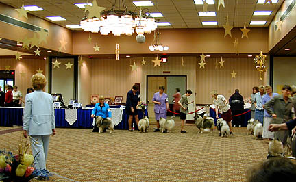 A class being judged