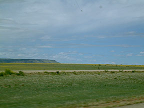 Plains, but they are in NM