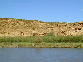 Colorado River on the west side of the Rockies