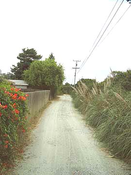 home down Forrest Lane